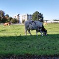IMG_20191017_154828