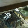 IMG_20191018_144556