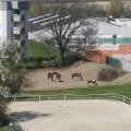 IMG_20200410_142555