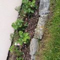 IMG_20200510_141951