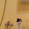 IMG_20201016_074929