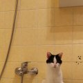 IMG_20201016_074941