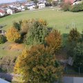 IMG_20201020_113855
