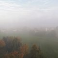 IMG_20201022_081044