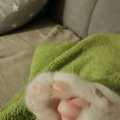 IMG_20201028_214057