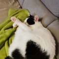 IMG_20201028_214144