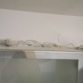 IMG_20201117_192345
