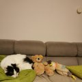 IMG_20201121_211804