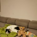IMG_20201121_211816