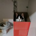 IMG_20201122_195523