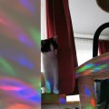 IMG_20201125_110349
