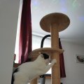 IMG_20201125_110432
