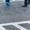 IMG_20201129_101256
