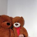 IMG_20201206_110953