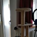 IMG_20201206_112223