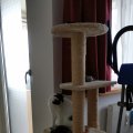 IMG_20201206_112225