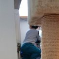 IMG_20201226_145144