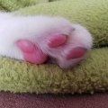 IMG_20201227_140852
