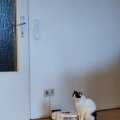 IMG_20201227_162100
