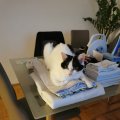 IMG_20210104_075712