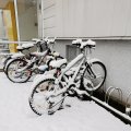 IMG_20210106_100759