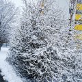 IMG_20210106_163213