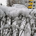 IMG_20210107_101309