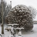 IMG_20210107_101740