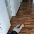 IMG_20210203_093220