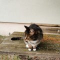 IMG_20210204_161938