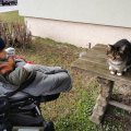 IMG_20210204_161944