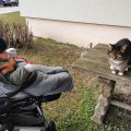 IMG_20210204_161944_1