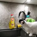 IMG_20210210_072331