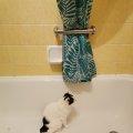 IMG_20210217_092441