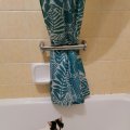 IMG_20210217_092449