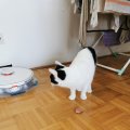 IMG_20210223_092240