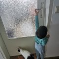 IMG_20210223_094247