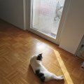 IMG_20210223_145817