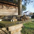 IMG_20210225_160141