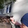 IMG_20210225_160159