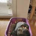 IMG_20210226_161653