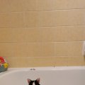 IMG_20210301_083903