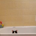 IMG_20210301_083907