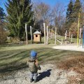 IMG_20210325_102846