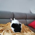 IMG_20210403_142220
