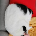 IMG_20210404_140548