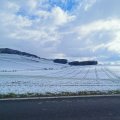 IMG_20210406_101152