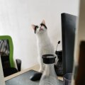 IMG_20210406_111834