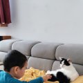 IMG_20210409_122444
