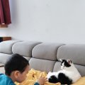 IMG_20210409_122447